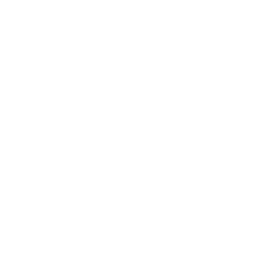 black eagle logo